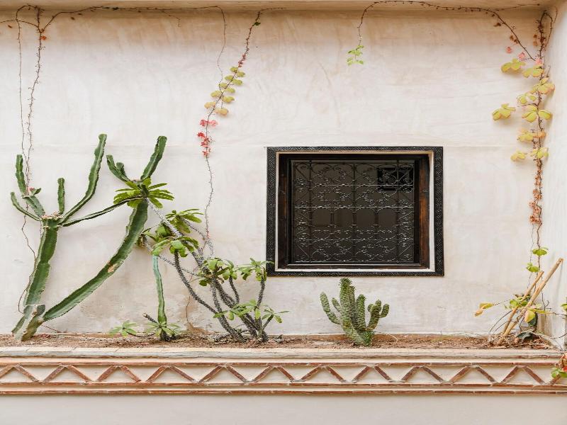 Riad Les Sources Berberes image