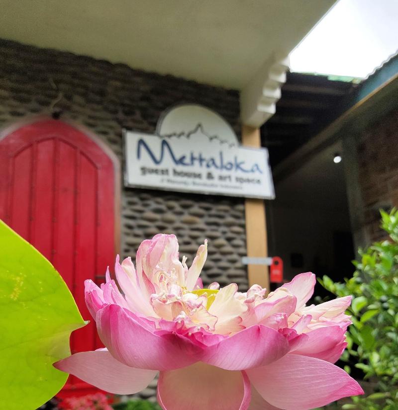 Mettaloka Guest House And Art Space image