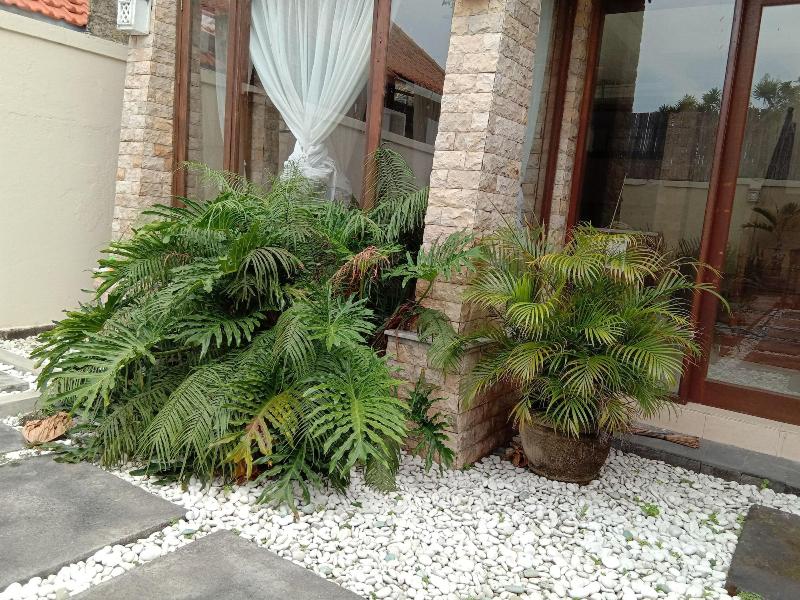 Loven Sanur Guest House image