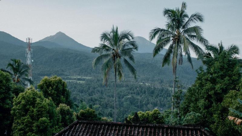 Puri Sunny Guesthouse image