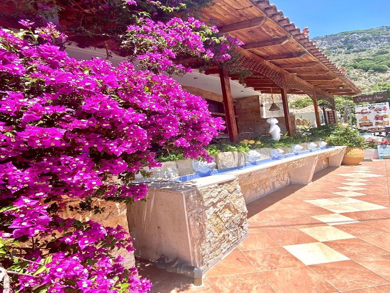 Costas Inn image