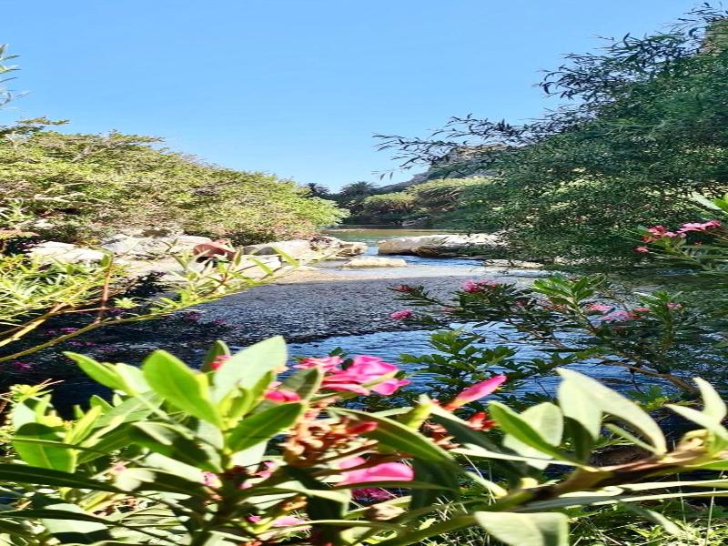 Costas Inn image