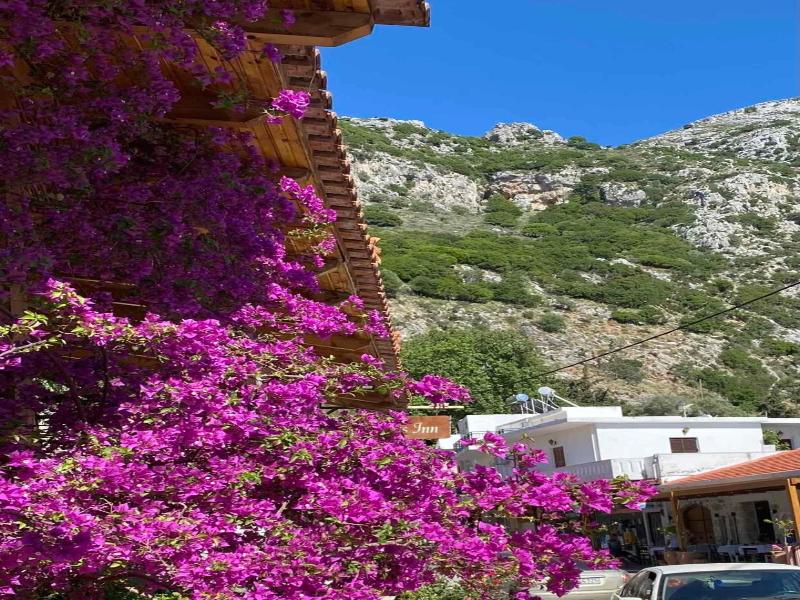 Costas Inn image