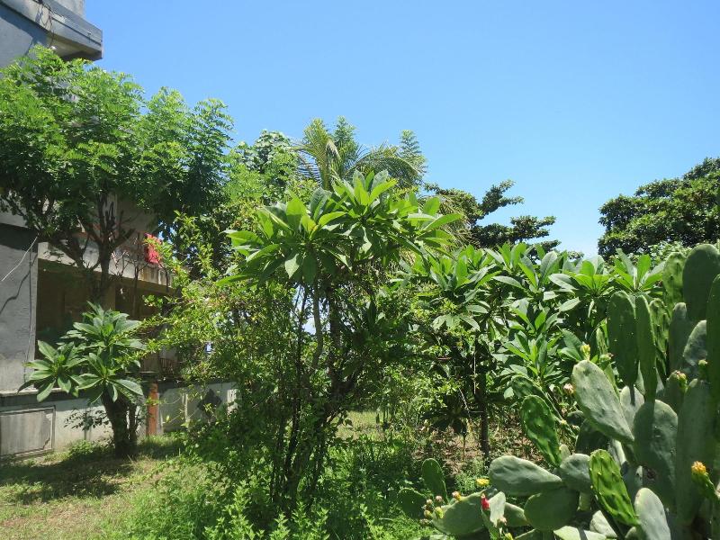 Amed Sari Beach Guesthouse image
