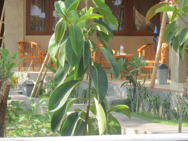 Amed Sari Beach Guesthouse image