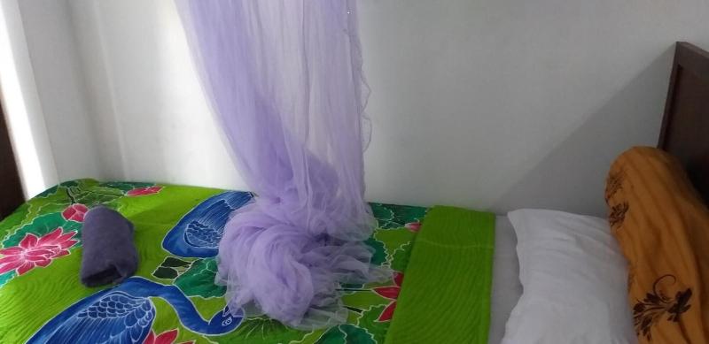 Amed Sari Beach Guesthouse image