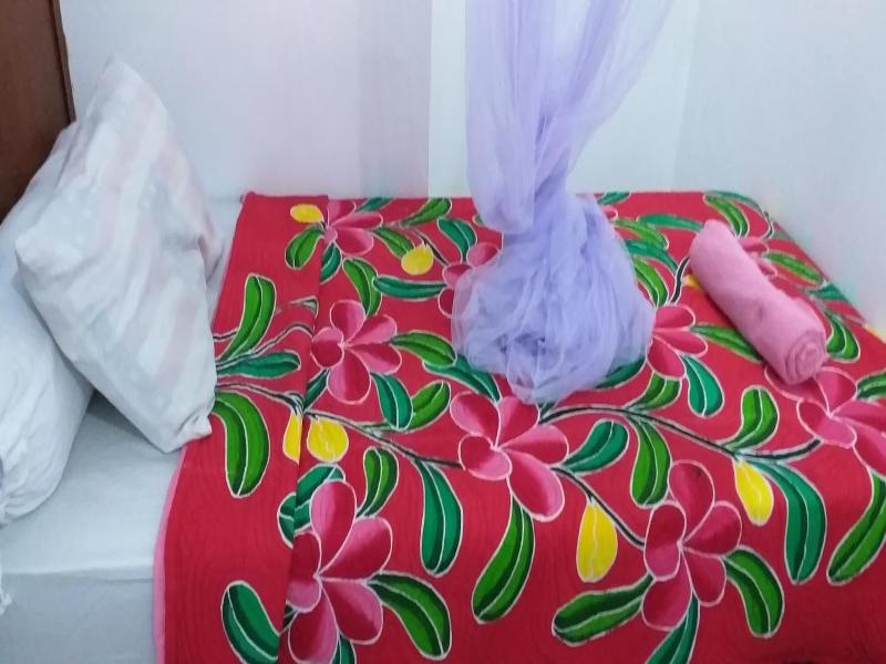 Amed Sari Beach Guesthouse image