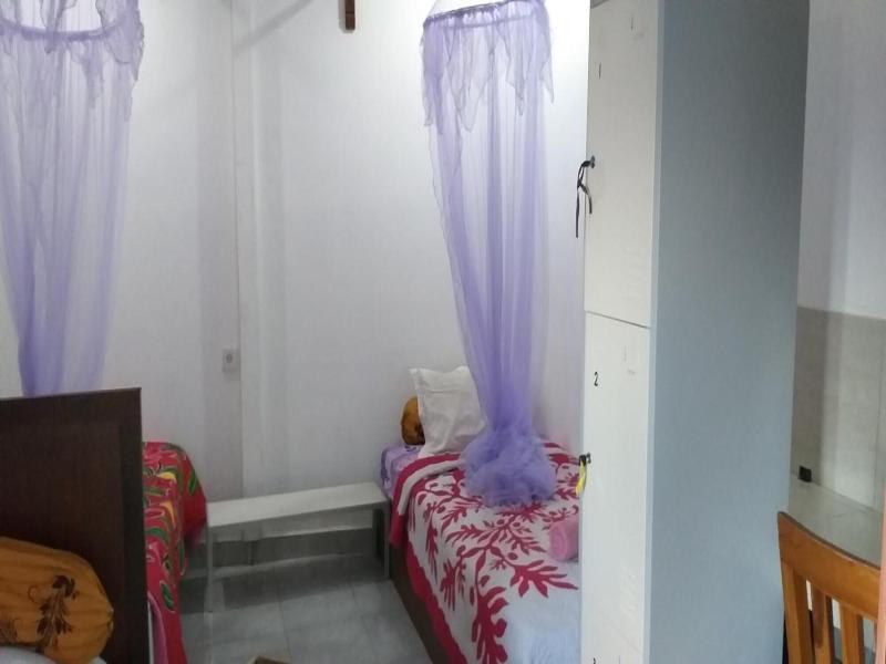 Amed Sari Beach Guesthouse image