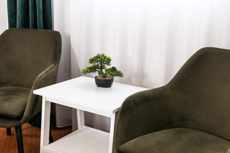 City Plaza Apartments & Rooms image