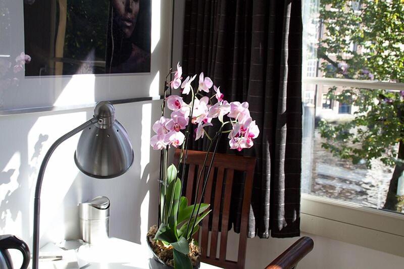 Velvetamsterdam image