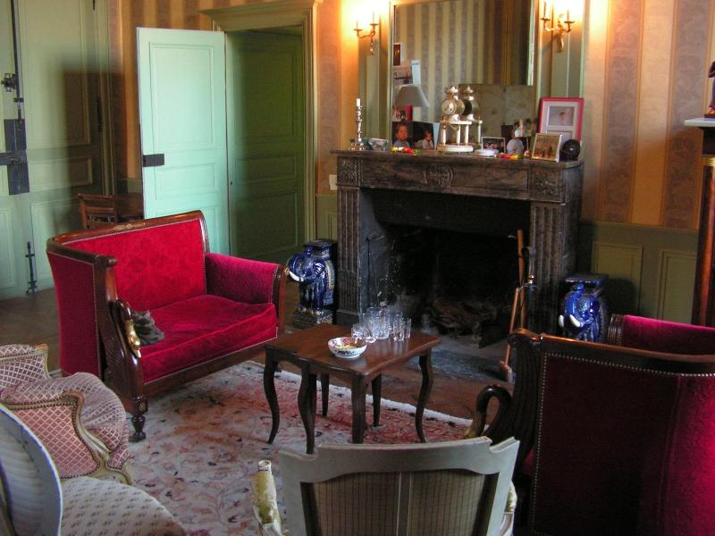 Chambres d'Hôtes - Château de Gizeux — photo 4