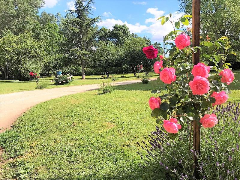 Domaine Pont Juillet image