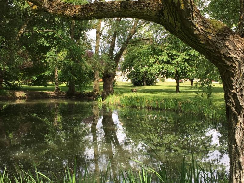 Domaine Pont Juillet image