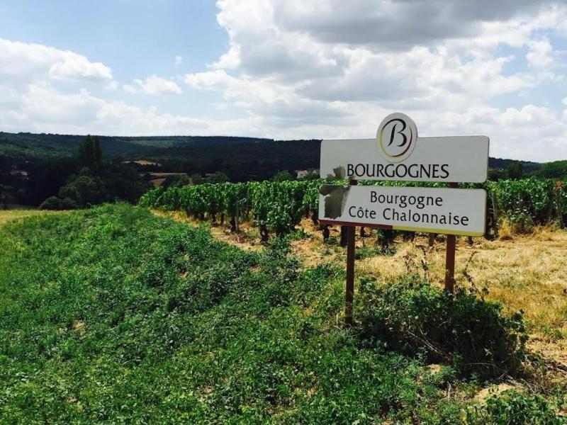 Domaine Pont Juillet image