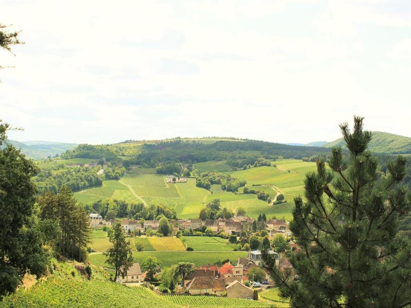 Domaine Pont Juillet image