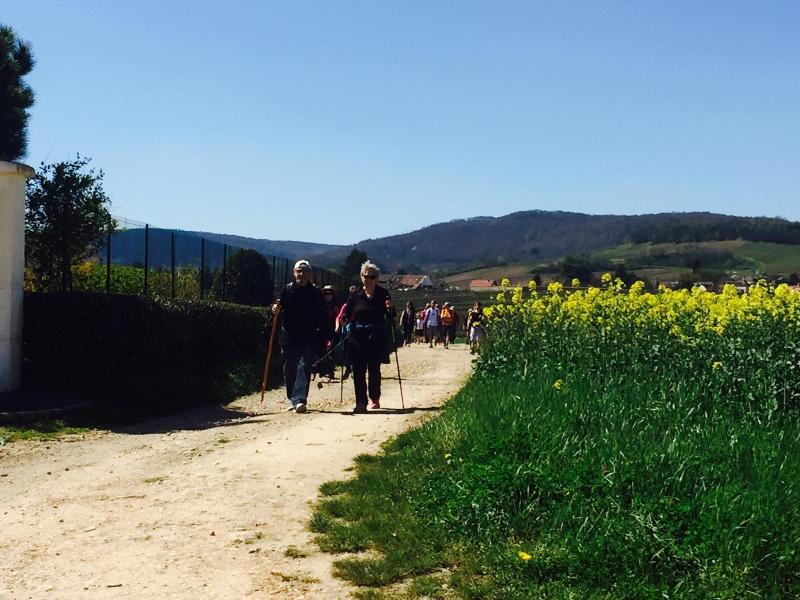 Domaine Pont Juillet image