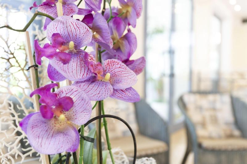 Royal Boutique Hotel image