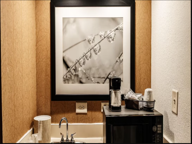The Beacon Charlotte Airport by IHG image