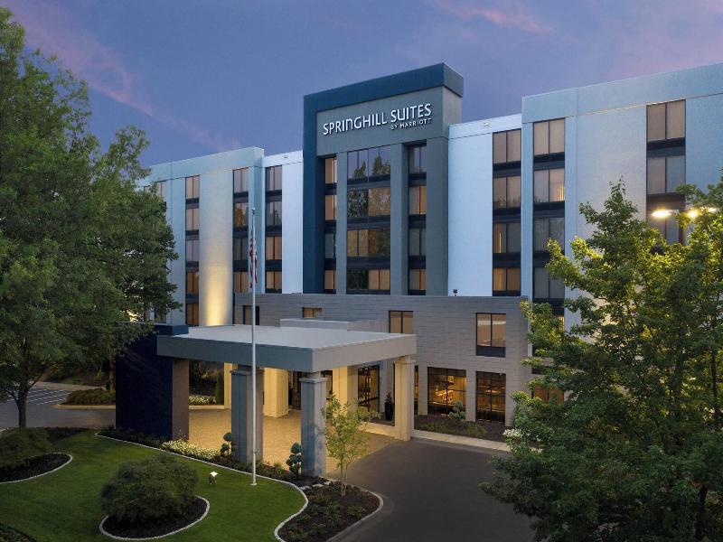 Springhill Suites By Marriott Atlanta Perimeter Ce image