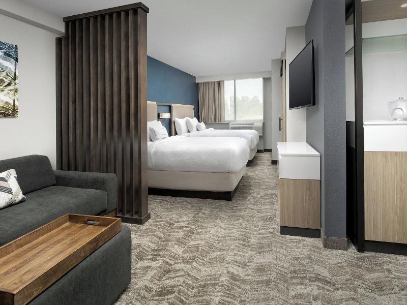 Springhill Suites By Marriott Atlanta Perimeter Ce image