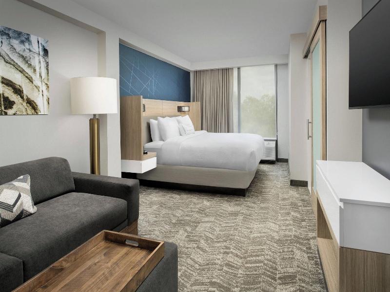 Springhill Suites By Marriott Atlanta Perimeter Ce image