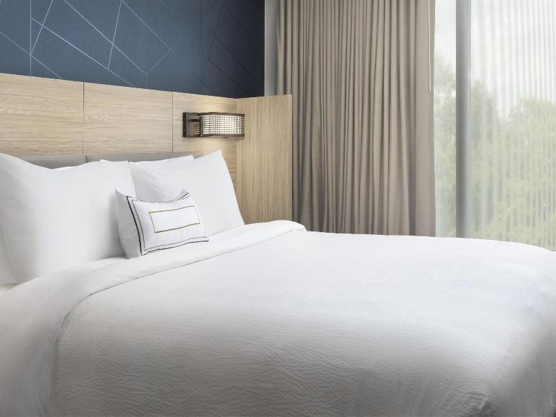 Springhill Suites By Marriott Atlanta Perimeter Ce image
