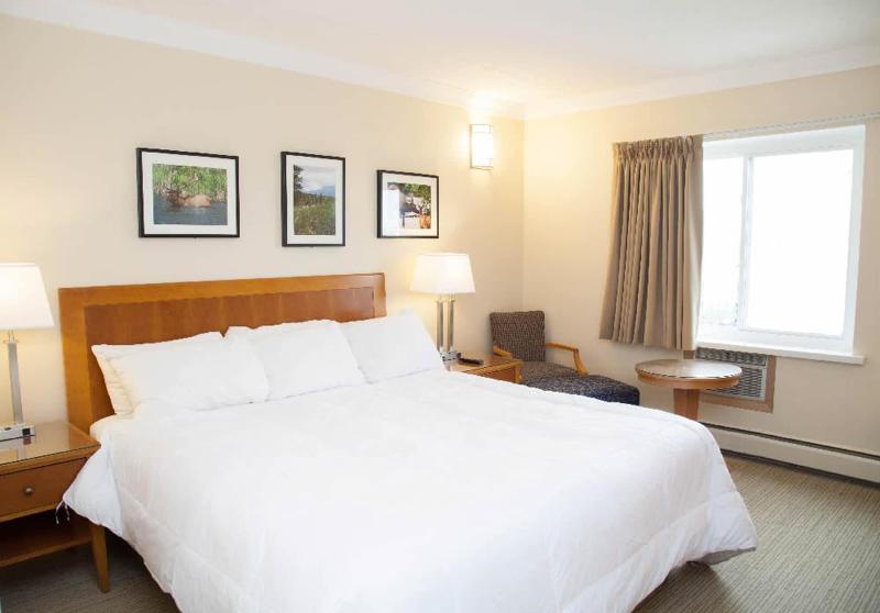 Twin Pine Inn & Suites image