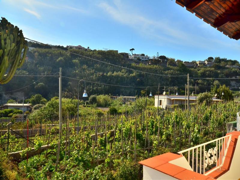 Hotel Villa Bernardina image
