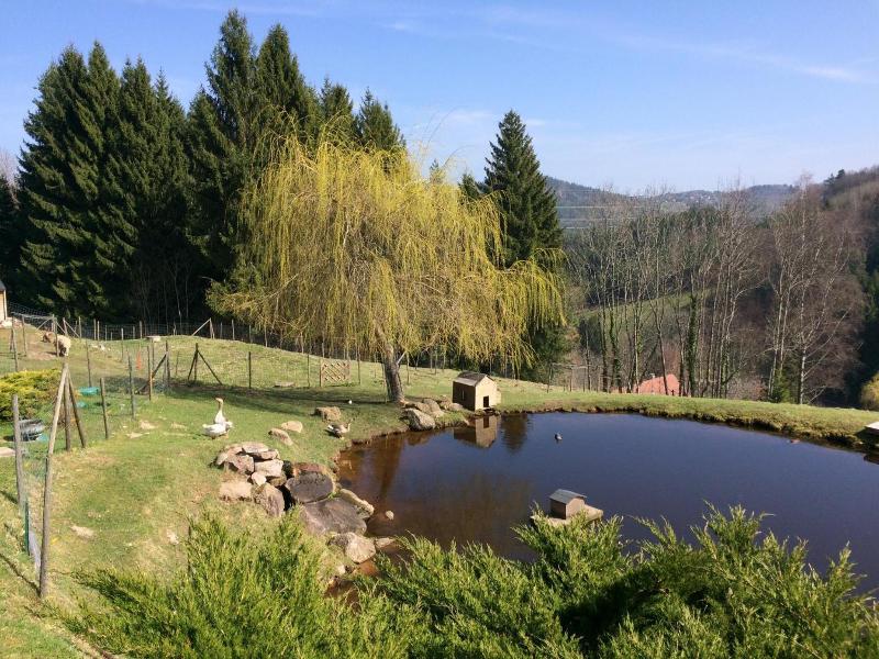 Domaine De Basil image