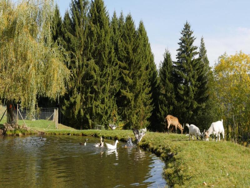 Domaine De Basil image