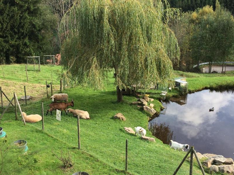 Domaine De Basil image