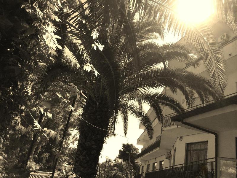 Hotel Eden image