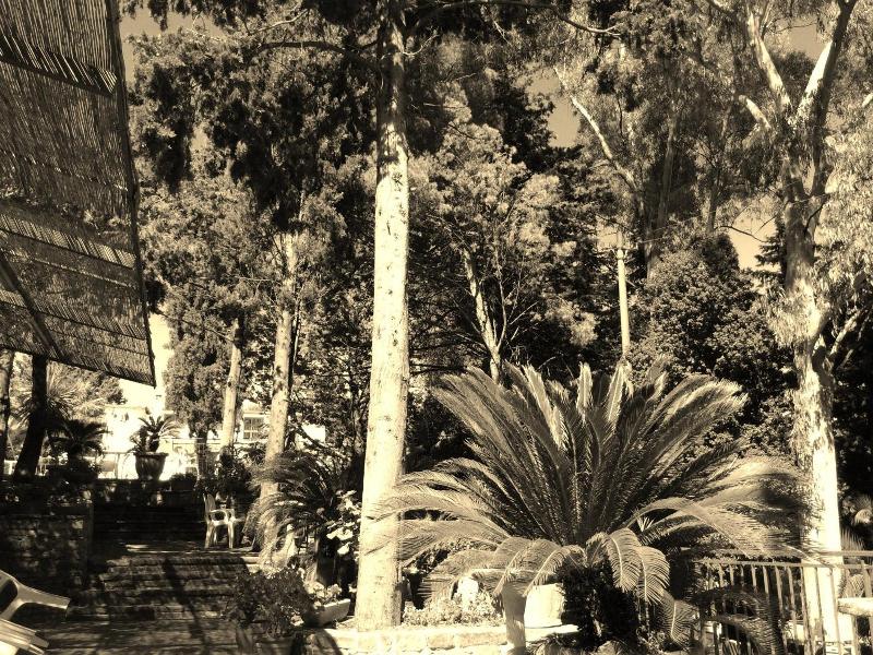 Hotel Eden image