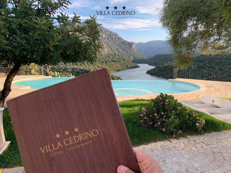 Hotel Cedrino image