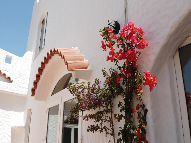 Hotel Cedrino image