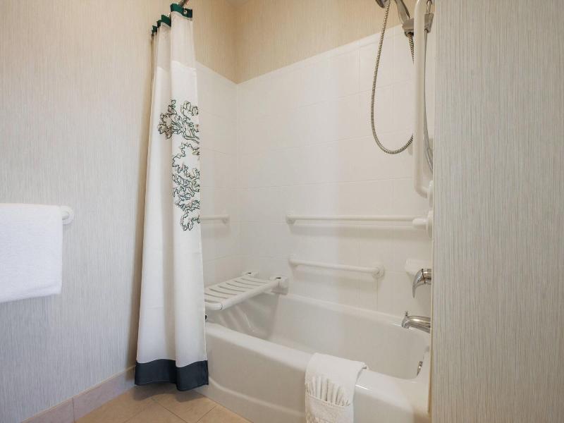 Residence Inn By Marriott Dallas Arlington South image