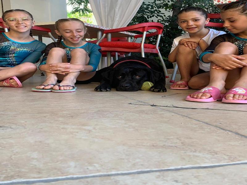 Hotel Migani Spiaggia image