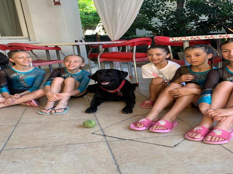 Hotel Migani Spiaggia image
