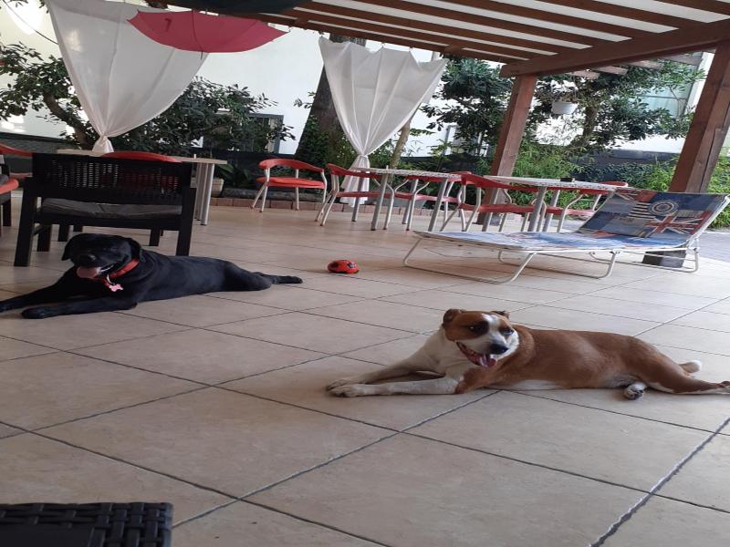 Hotel Migani Spiaggia image