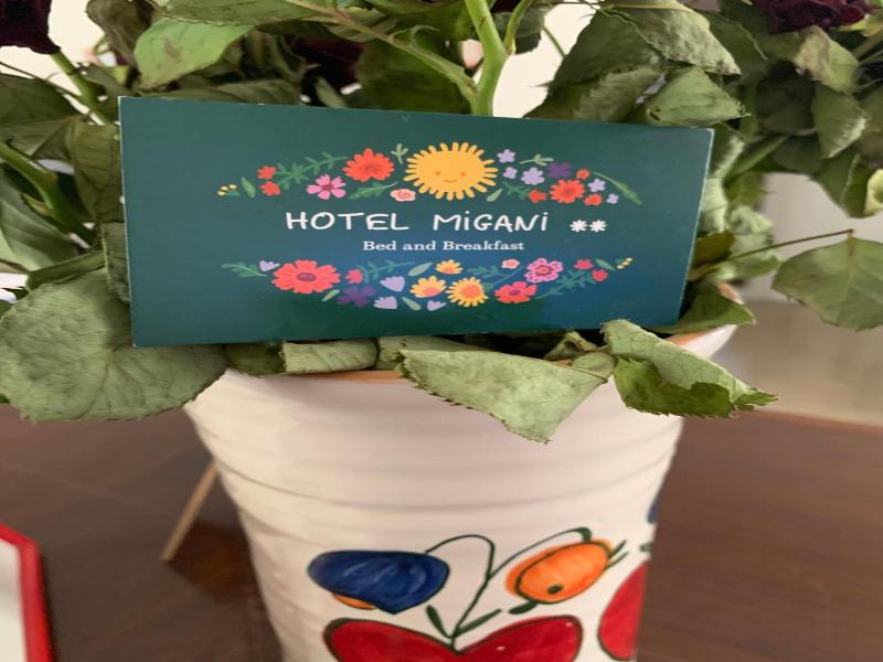 Hotel Migani Spiaggia image