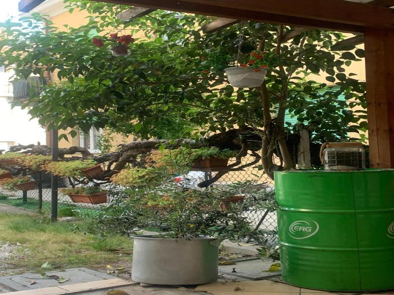 Hotel Migani Spiaggia image