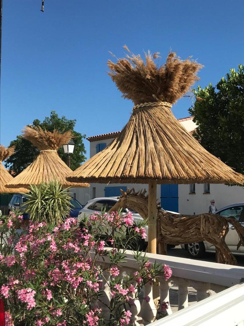 Hôtel Le Neptune en Camargue image