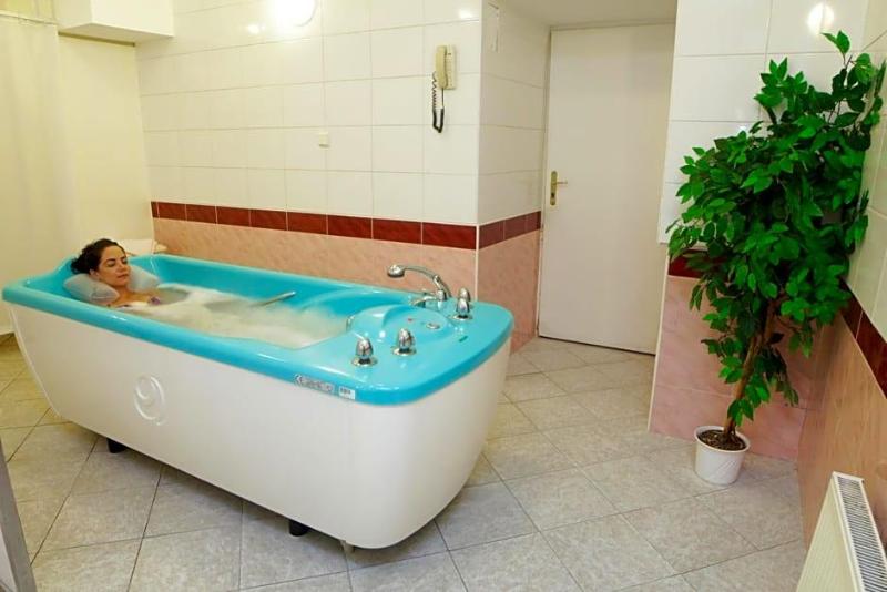 Hotel Pavlov image