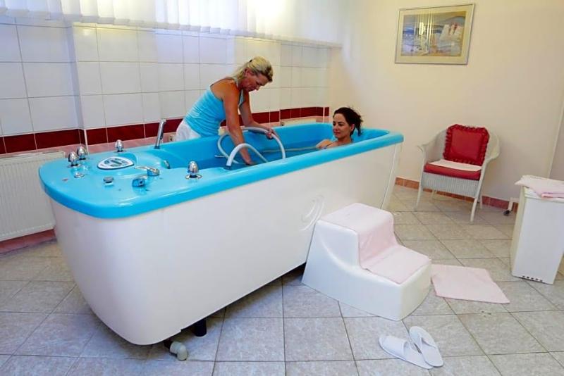 Hotel Pavlov image