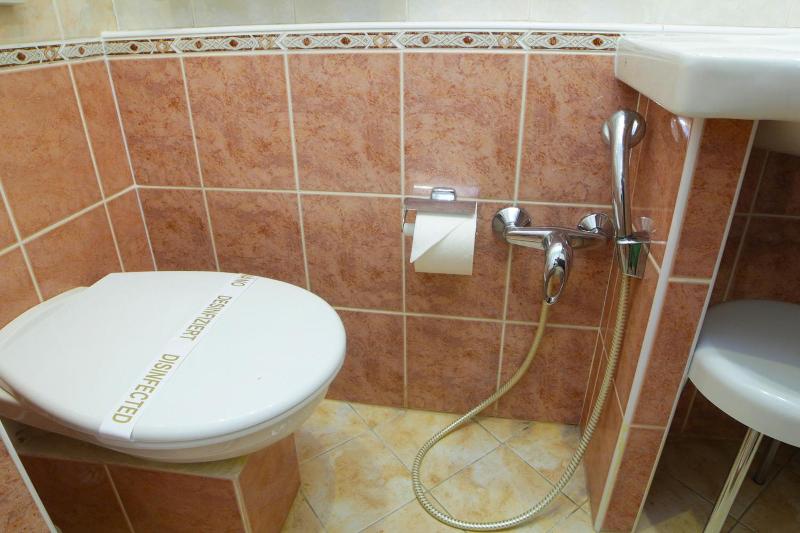 Hotel Pavlov image