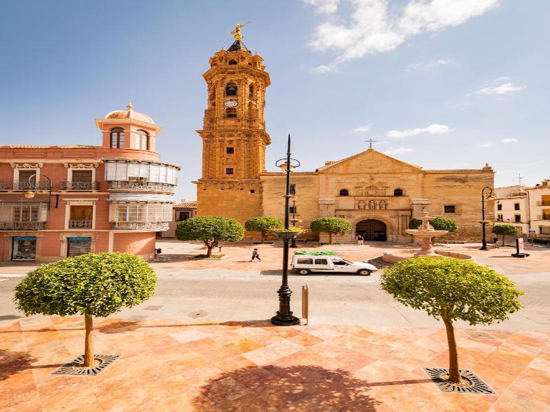 Hotel Manzanito image
