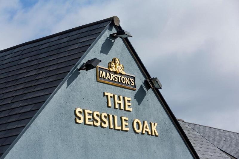 Sessile Oak, Llanelli by Marston's Inns image