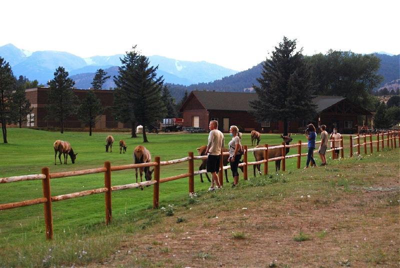 Discovery Lodge image