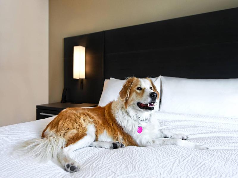 Residence Inn By Marriott Steamboat Springs