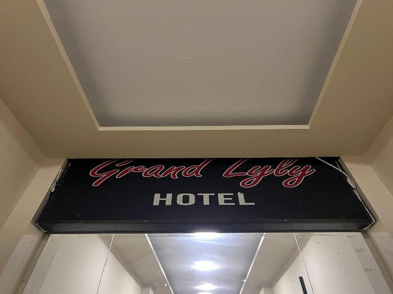 Grand Lyly Hotel image